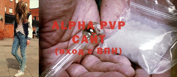 шишки Арсеньев