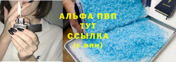 шишки Арсеньев