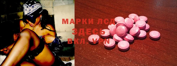 шишки Арсеньев