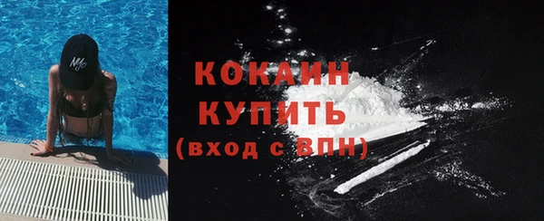 шишки Арсеньев