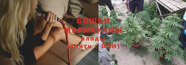 шишки Арсеньев