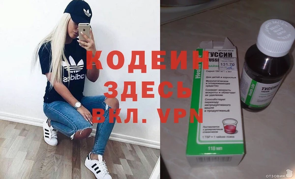 шишки Арсеньев