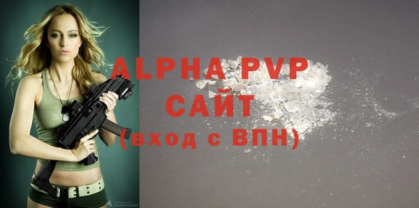 шишки Арсеньев