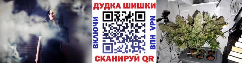 Каннабис OG Kush Суздаль